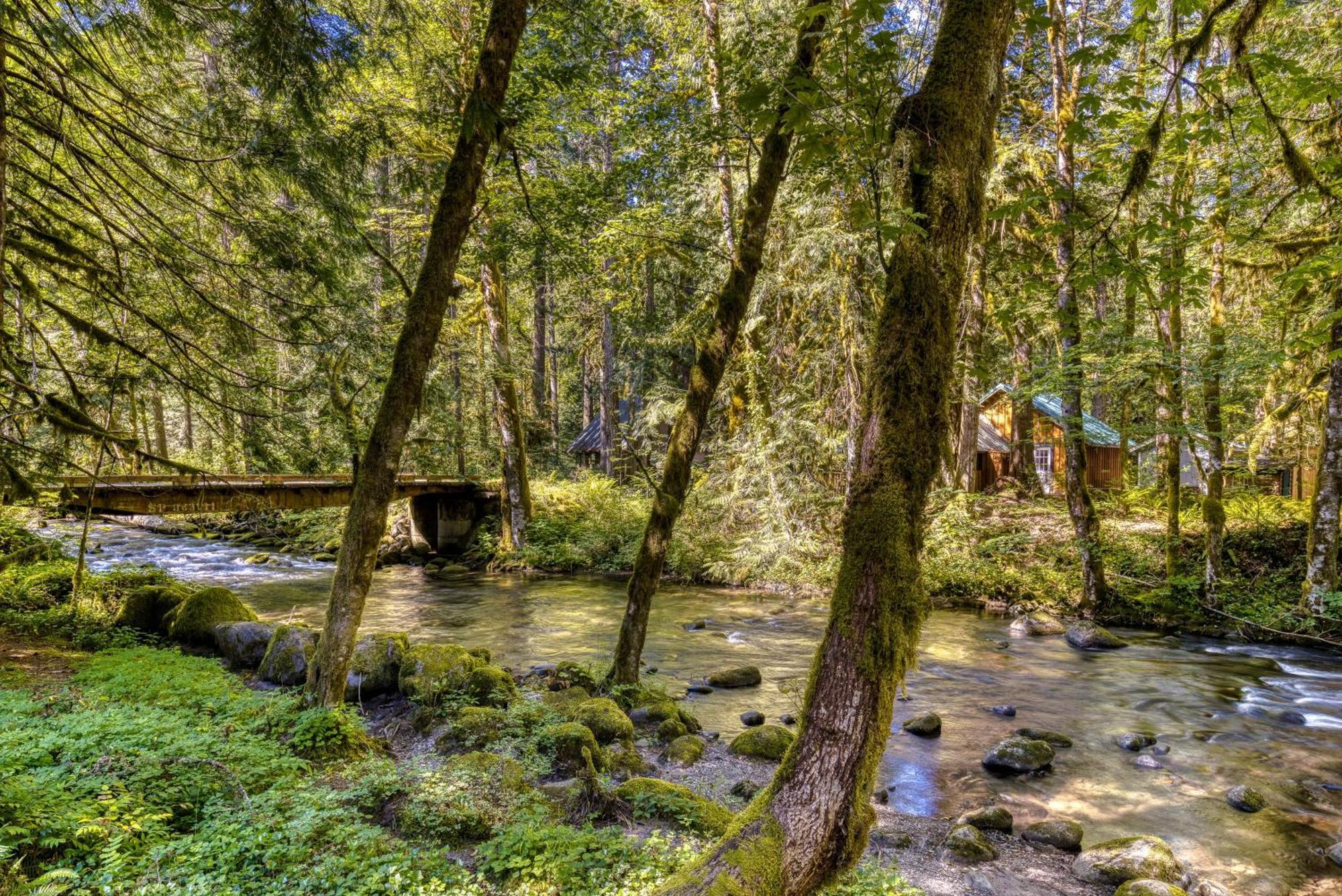 Salmon River Lodge Welches المظهر الخارجي الصورة